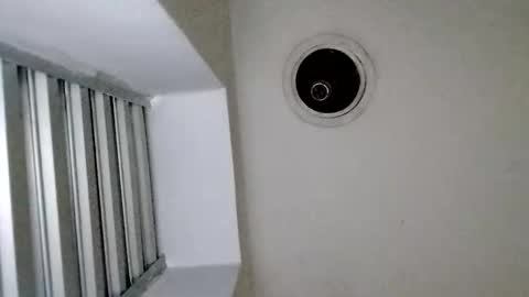 TradicionCanera23cm online show from 03.01.26