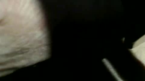 trailblazer1969 online show from 03.07.26