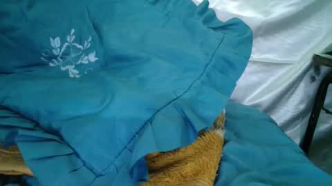 Snapshot of transexdotada chatting on 10.23.25 transexdotada online show from 10.23.25