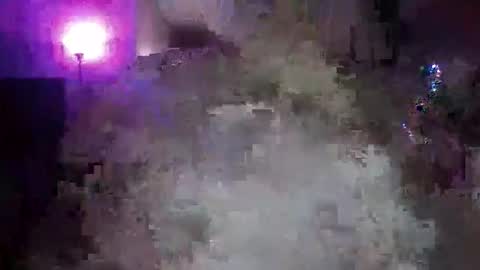 Snapshot of transgirl005 chatting on 11.10.25 transgirl005 online show from 11.10.25