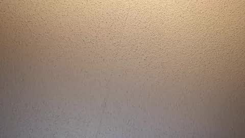 Snapshot of treedude303720 chatting on 10.16.25 treedude303720 online show from 10.16.25