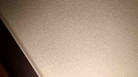 Snapshot of treedude303720 chatting on 10.20.25 treedude303720 online show from 10.20.25