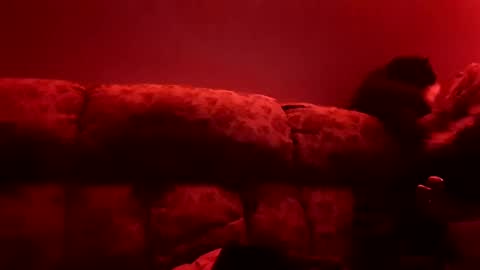 tretrix5588 online show from 01.03.25