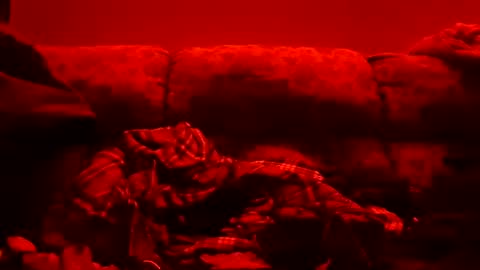 tretrix5588 online show from 01.11.25