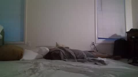 trickquestion online show from 02.08.25