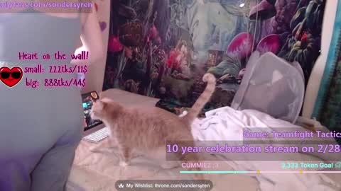 Cassie online show from 02.26.26