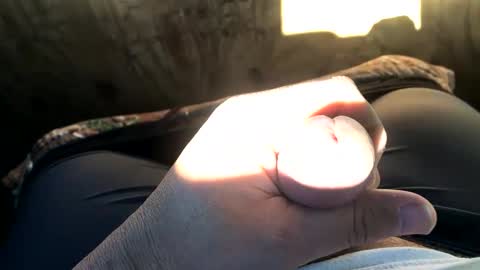 Bean online show from 12.11.24