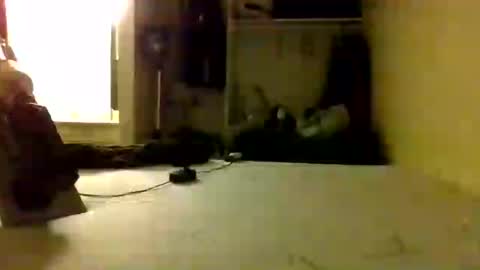 trickydick6 online show from 06.25.26