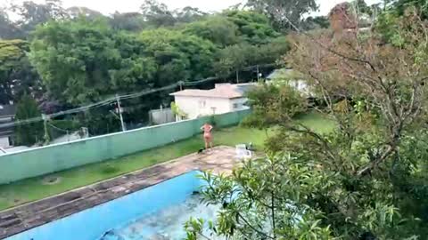 trigood online show from 11.28.25