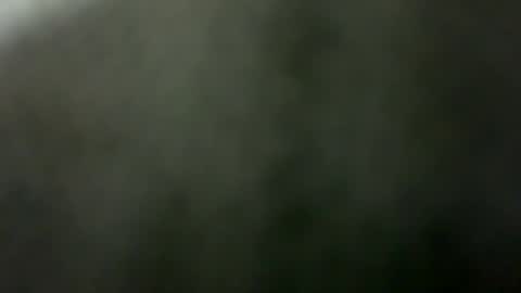 tripit1 online show from 12.21.25