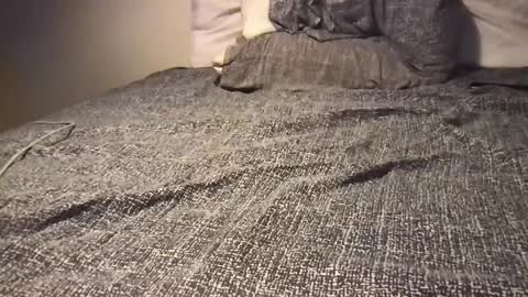 TritonGeekly22 online show from 12.16.24