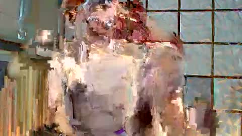 trixie_foxslut online show from 02.12.26