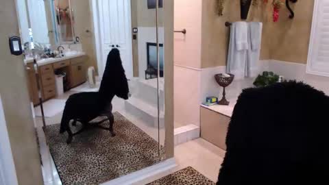 Snapshot of trophywifey chatting on 02.19.26 Trophy Wifey iframe src height528 width850 s online show from 02.19.26