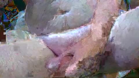 troy1965 online show from 01.06.25