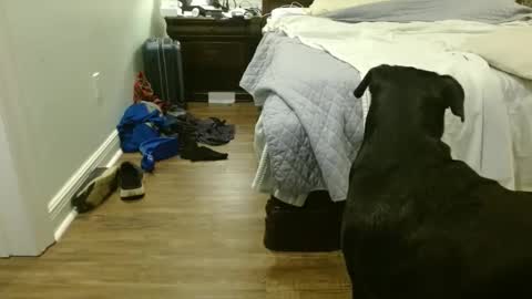 troy1965 online show from 09.29.25