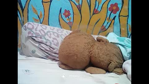 ts_cuumlover online show from 12.02.24