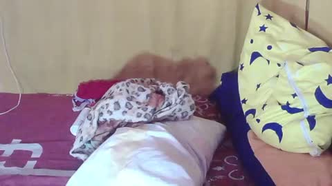 carmella online show from 10.11.25