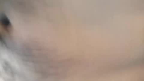 Snapshot of ttimmyt chatting on 11.08.25 ttimmyt online show from 11.08.25