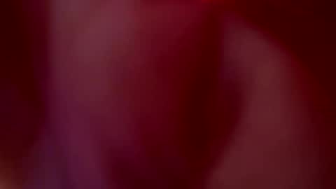 JULIETA  online show from 10.20.25