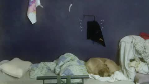 turkishtranswithsurgery online show from 04.12.26