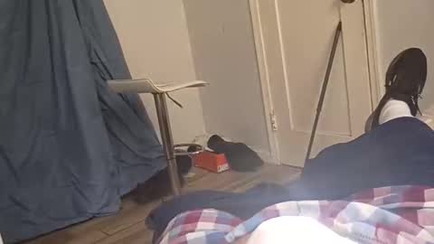 twest84 online show from 11.02.25