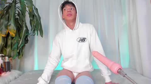Lion online show from 01.08.25