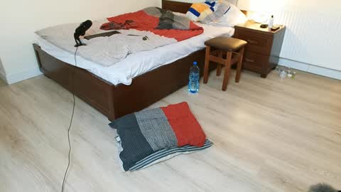 Vicky  Victor online show from 12.12.24