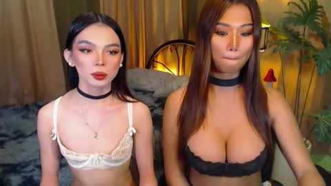 twinktransshanel online show from 10.08.25