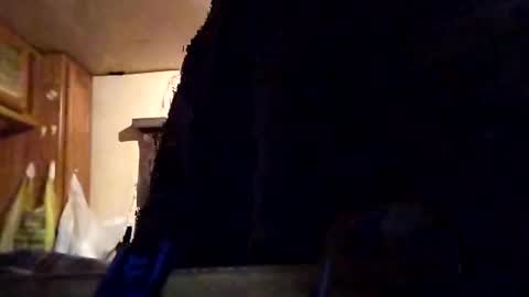 Snapshot of twiztidleeanna69 chatting on 02.01.25 Tintilizing Excitement online show from 02.01.25