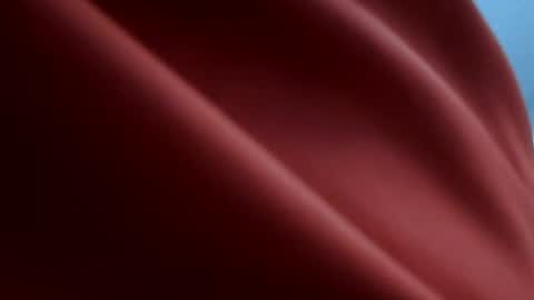 Tyler online show from 06.12.26