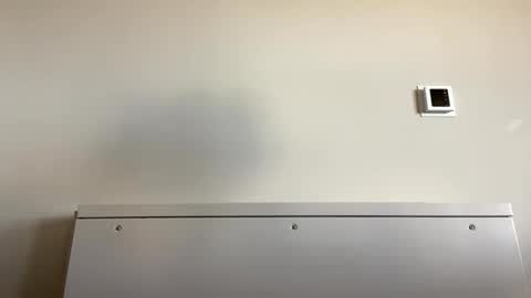 Snapshot of tylercameron28 chatting on 09.21.25 TylerC online show from 09.21.25