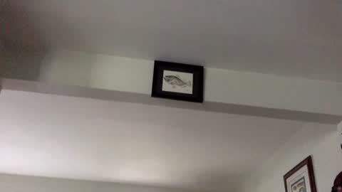 Tyler Durden online show from 02.08.25