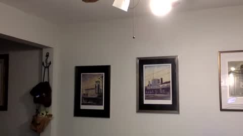 Tyler Durden online show from 02.14.25