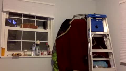 Tyler Durden online show from 02.17.25