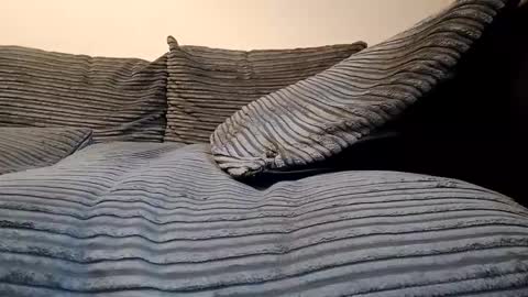 tyson2512 online show from 02.19.26