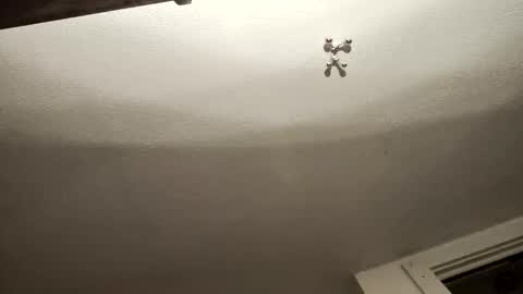 uncut_widda_bigbutt online show from 02.03.25