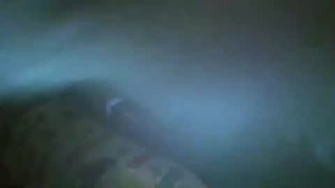 unicorn765vcxv online show from 06.21.26
