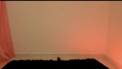 Snapshot of unu_nai chatting on 12.29.24 new INSTA   online show from 12.29.24