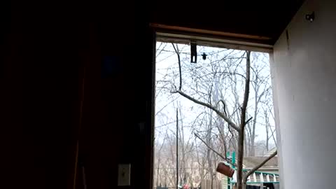 upforanything27 online show from 12.25.24