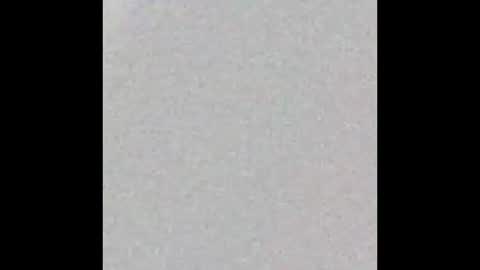 pretitit micole online show from 10.21.25