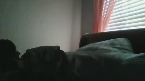 UrbanDicc online show from 01.12.25