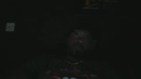 UrbanDicc online show from 01.27.25