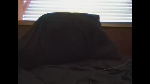 UrbanDicc online show from 01.29.25