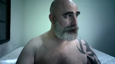 Urso1978BR online show from 12.01.25