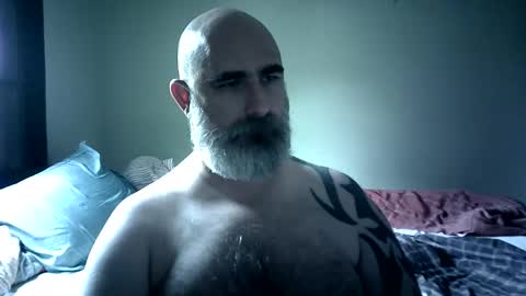 Urso1978BR online show from 12.02.25