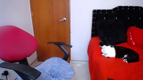 Snapshot of ursulawhite69 chatting on 02.18.25 Eveling Blanco  online show from 02.18.25