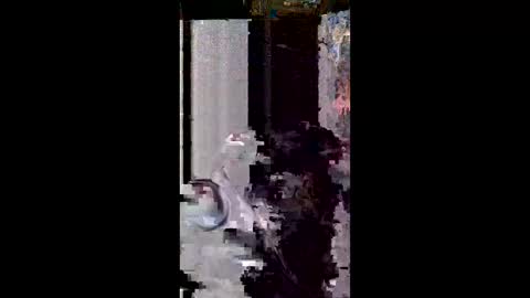 Snapshot of user18675309 chatting on 03.08.26 user18675309 online show from 03.08.26