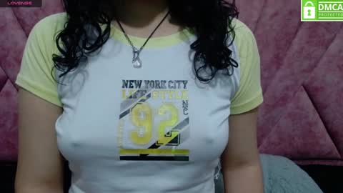 Snapshot of vainilla_cam chatting on 01.20.25 Vainilla online show from 01.20.25
