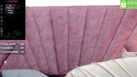 Snapshot of vainilla_cam chatting on 01.24.25 Vainilla online show from 01.24.25