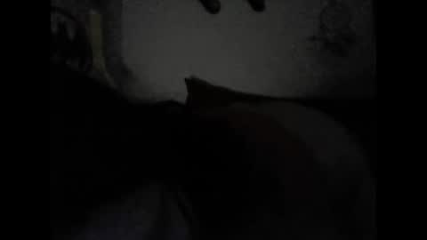 Valeria online show from 02.15.25